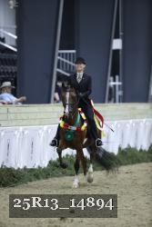 25R13_14894 thumbnail