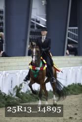25R13_14895 thumbnail
