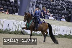 25R13_14899 thumbnail