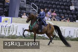 25R13_14901 thumbnail