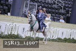 25R13_14907 thumbnail