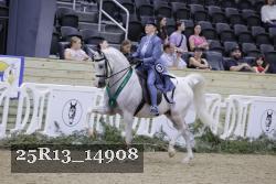 25R13_14908 thumbnail