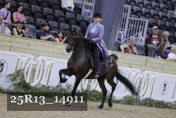 25R13_14911 thumbnail