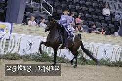 25R13_14912 thumbnail