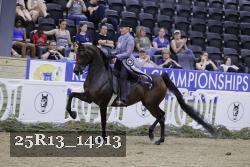 25R13_14913 thumbnail