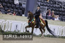 25R13_14915 thumbnail