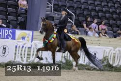 25R13_14916 thumbnail