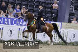 25R13_14917 thumbnail