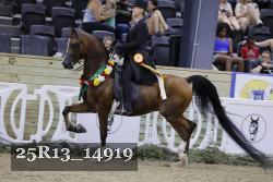25R13_14919 thumbnail
