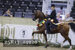 25R13_14920 thumbnail