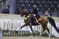 25R13_14921 thumbnail