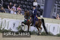 25R13_14923 thumbnail