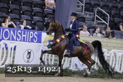 25R13_14924 thumbnail