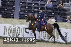 25R13_14925 thumbnail