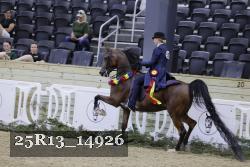25R13_14926 thumbnail