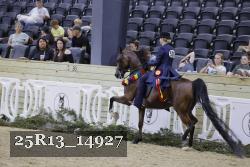 25R13_14927 thumbnail