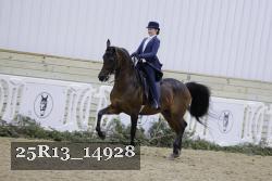 25R13_14928 thumbnail