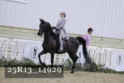 25R13_14929 thumbnail
