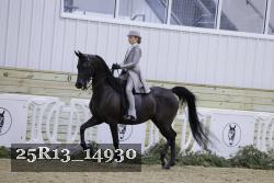 25R13_14930 thumbnail