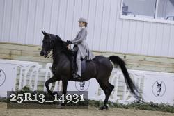 25R13_14931 thumbnail