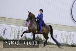 25R13_14933 thumbnail