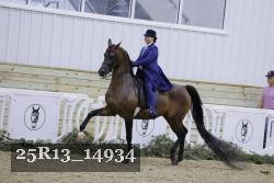 25R13_14934 thumbnail