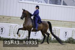 25R13_14935 thumbnail