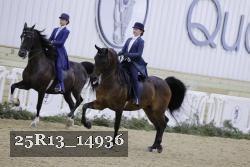 25R13_14936 thumbnail