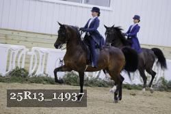 25R13_14937 thumbnail