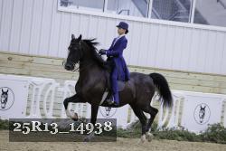 25R13_14938 thumbnail