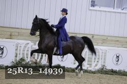 25R13_14939 thumbnail