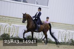 25R13_14941 thumbnail