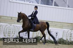 25R13_14942 thumbnail
