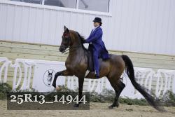 25R13_14944 thumbnail