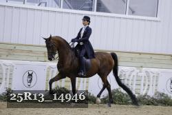 25R13_14946 thumbnail