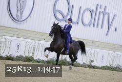 25R13_14947 thumbnail