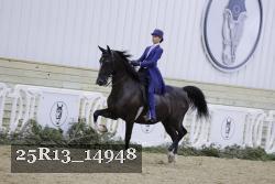 25R13_14948 thumbnail