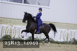 25R13_14949 thumbnail