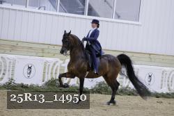 25R13_14950 thumbnail