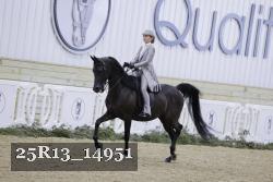 25R13_14951 thumbnail