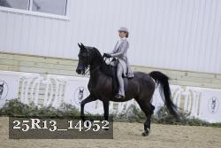 25R13_14952 thumbnail