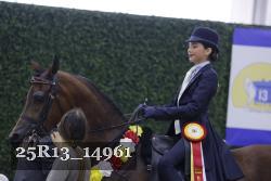 25R13_14961 thumbnail