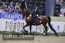 25R13_15000 thumbnail