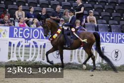25R13_15001 thumbnail