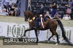25R13_15002 thumbnail