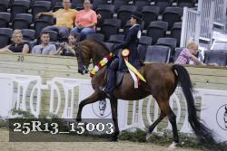 25R13_15003 thumbnail