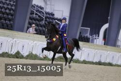 25R13_15005 thumbnail