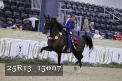 25R13_15007 thumbnail