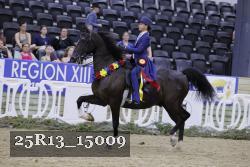 25R13_15009 thumbnail