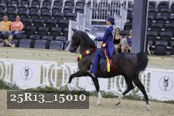 25R13_15010 thumbnail